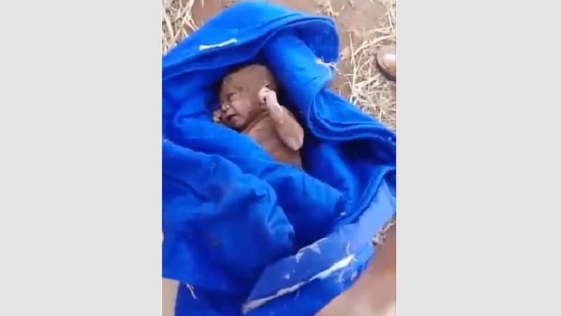 Newborn found alive under rubble four days after storm Daniel in Libya